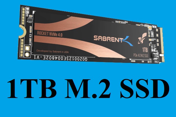 【2024年版】1TB M.2 SSDのおすすめ5選