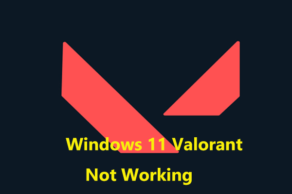 TPM 2.0を搭載していないPCでWindows 11 Valorantが動作しない問題を修正